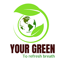 CÔNG TY TNHH QUỐC TẾ YOURGREEN